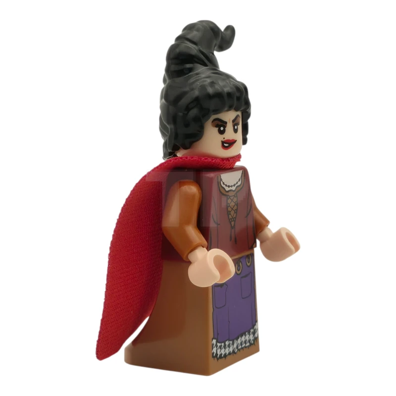 LEGO&reg; idea163 Mary Sanderson