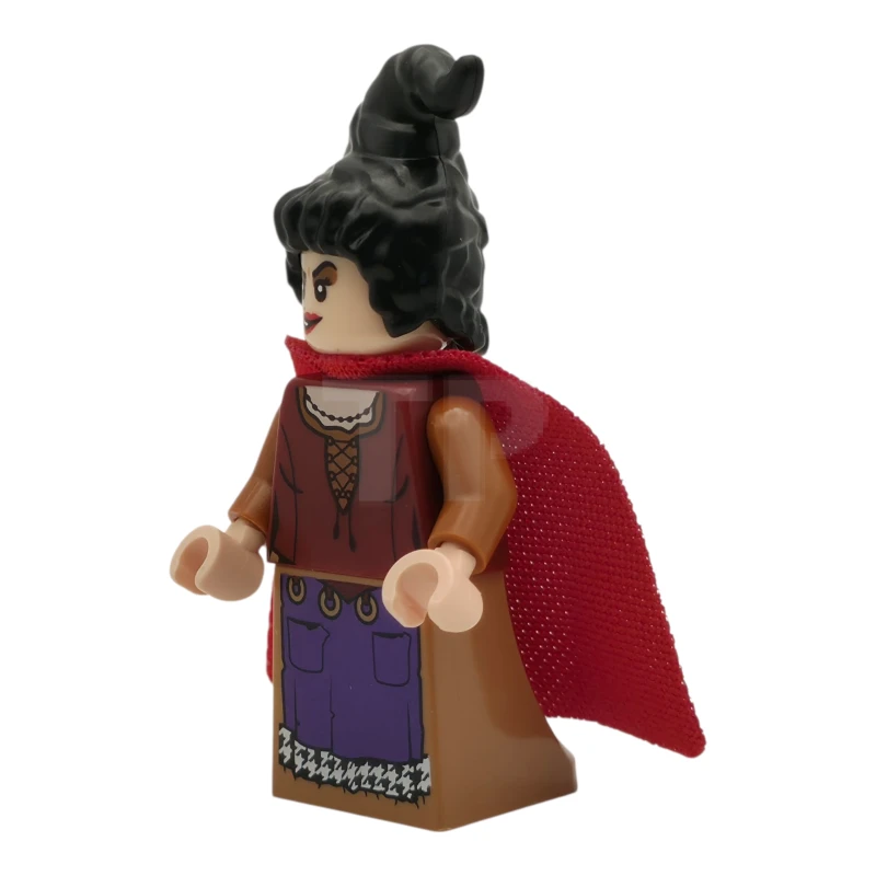 LEGO&reg; idea163 Mary Sanderson