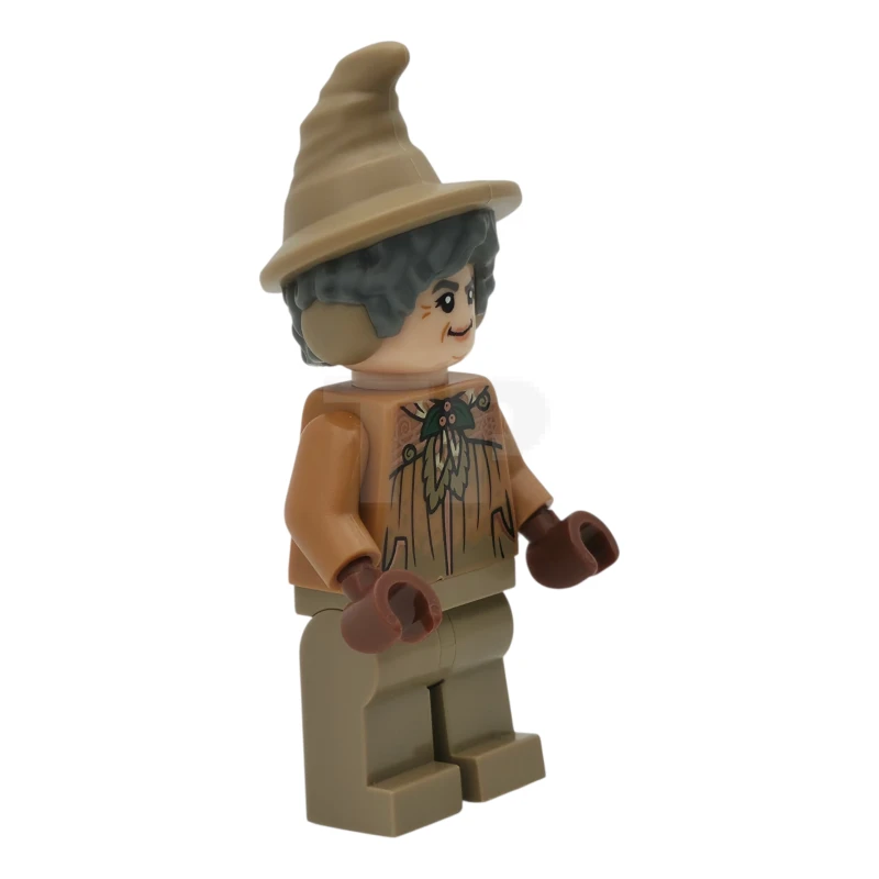 LEGO&reg; hp570 Professor Pomona Sprout