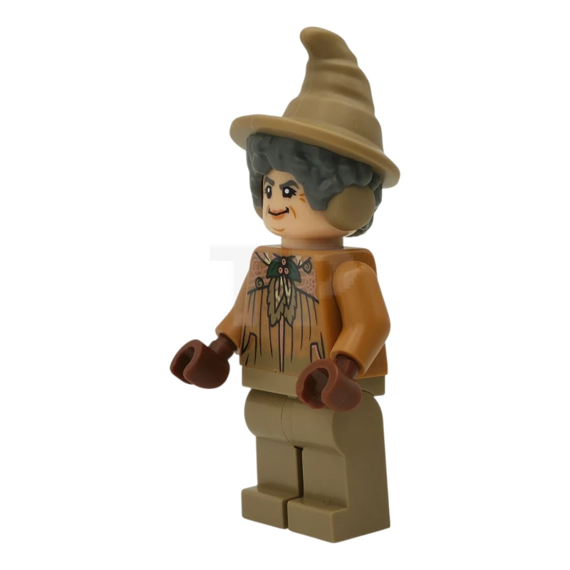 LEGO&reg; hp570 Professor Pomona Sprout