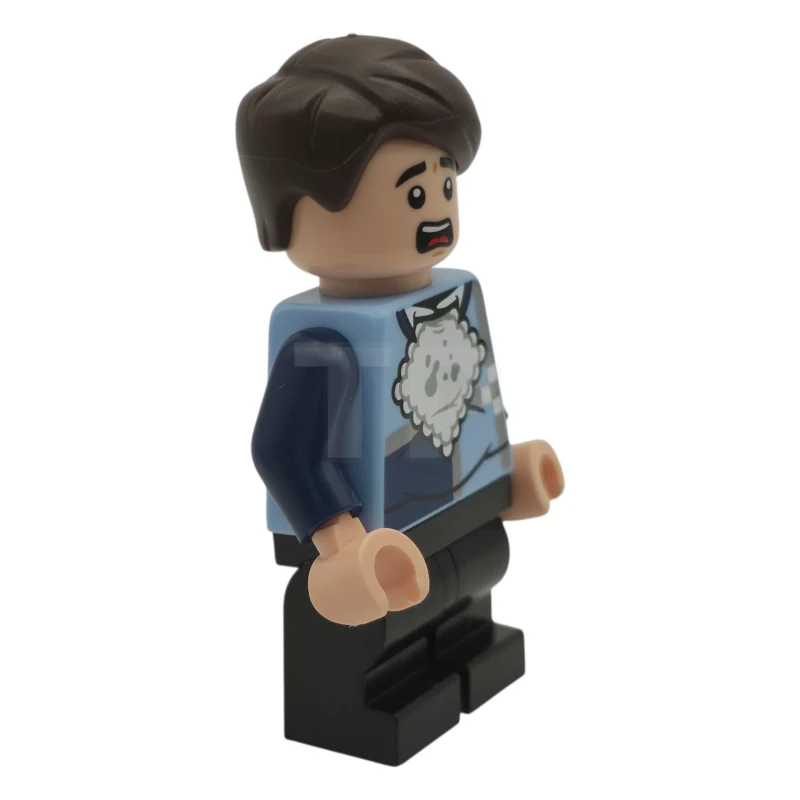 LEGO&reg; hp565 Dudley Dursley