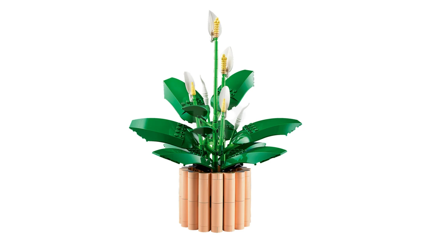 LEGO&reg; 11504 Spatifillo