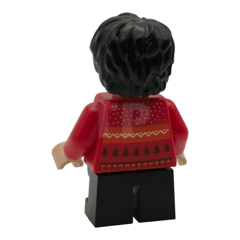 LEGO&reg; hp589 Harry Potter