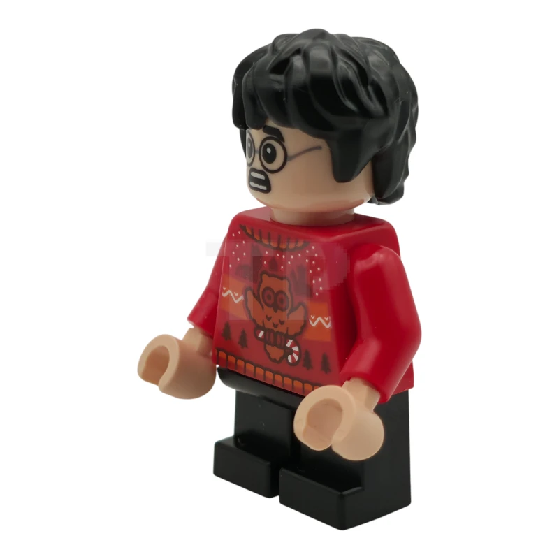 LEGO&reg; hp589 Harry Potter