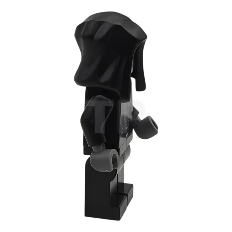 LEGO&reg; hp599 Death Eater - Black Hood, Black Arms