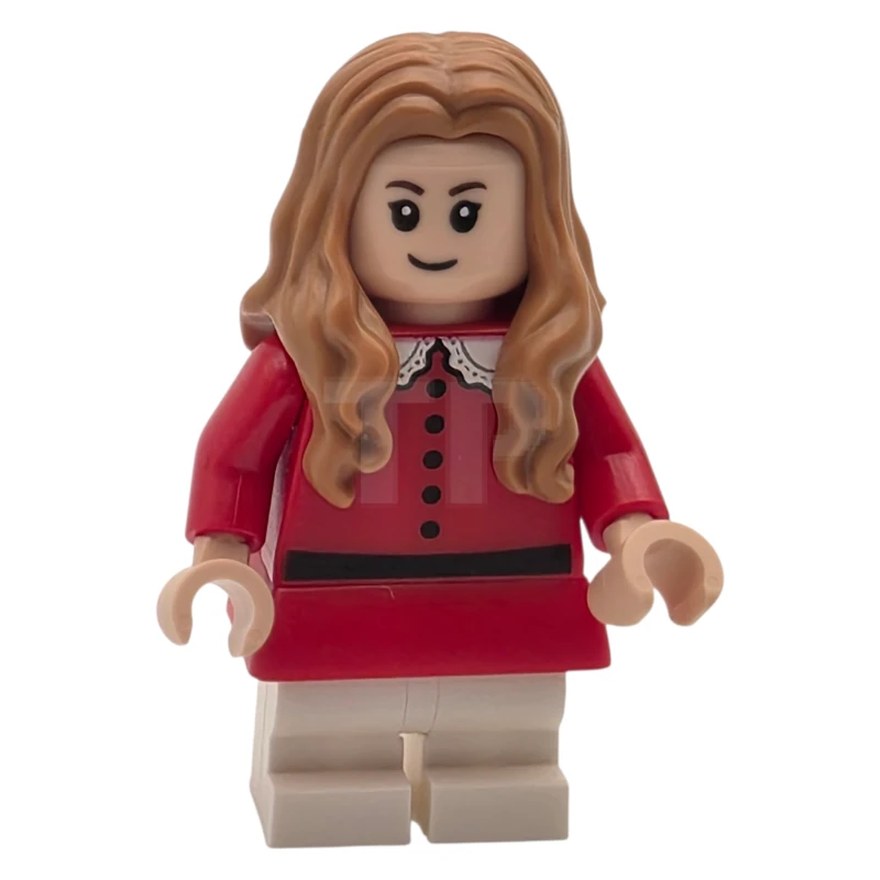 LEGO&reg; idea255 Veruca Salt