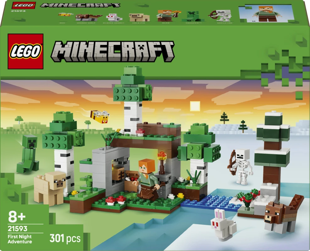 LEGO&reg; 21593 First Night Adventure