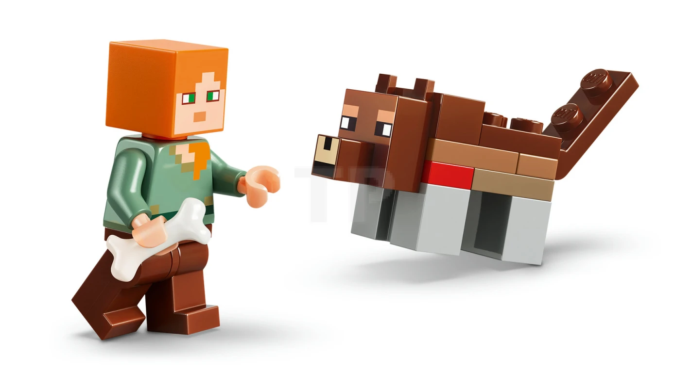 LEGO&reg; 21593 First Night Adventure