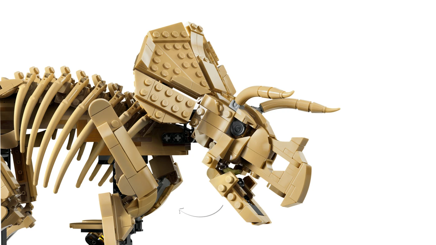 LEGO&reg; 77985 Dinosaur Fossils: Triceratops