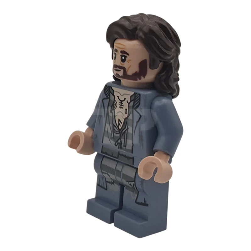 LEGO&reg; hp630 Sirius Black - Dark Brown Hair, Sand Blue Jacket over Tattered Striped Shirt, Printed Legs