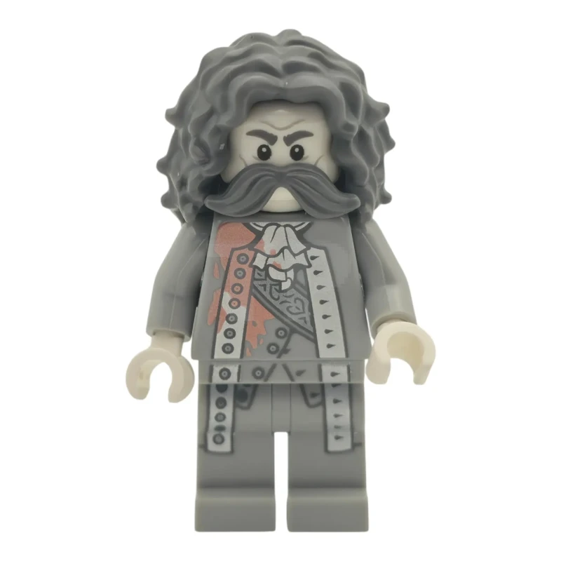 LEGO&reg; hp623 The Bloody Baron