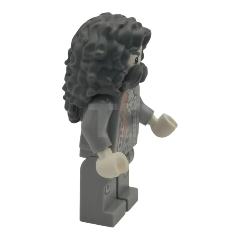 LEGO&reg; hp623 The Bloody Baron