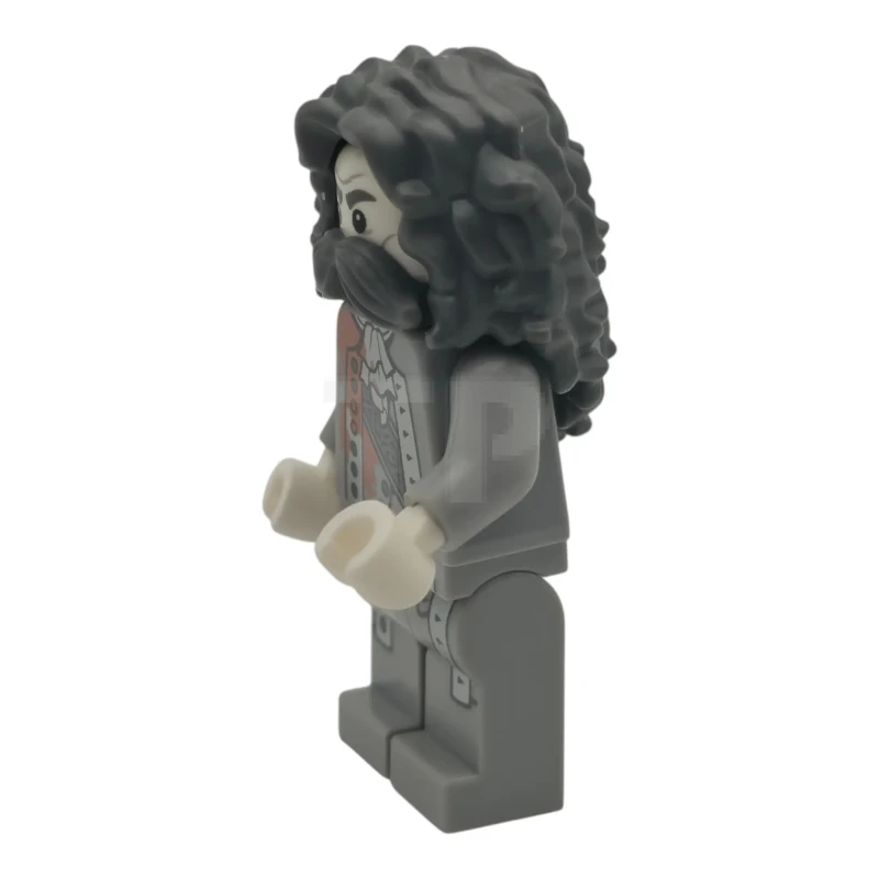 LEGO&reg; hp623 The Bloody Baron