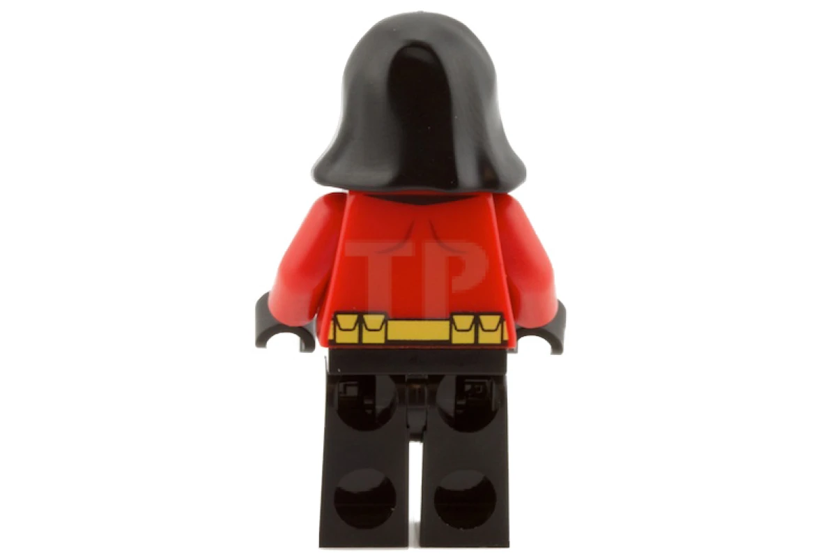 LEGO&reg; sh0059 Robin