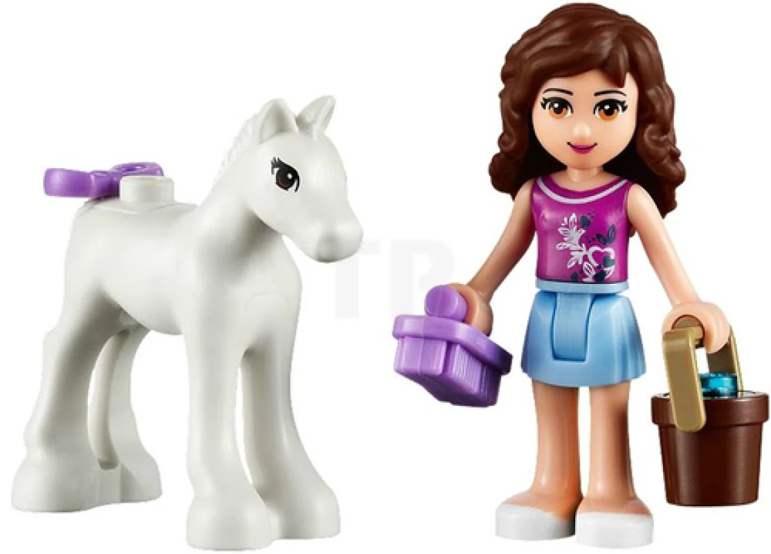 LEGO&reg; 41003 Olivia's Newborn Foal
