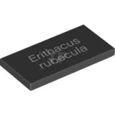Tile 2 x 4 with 'Erithacus rubecula' Pattern