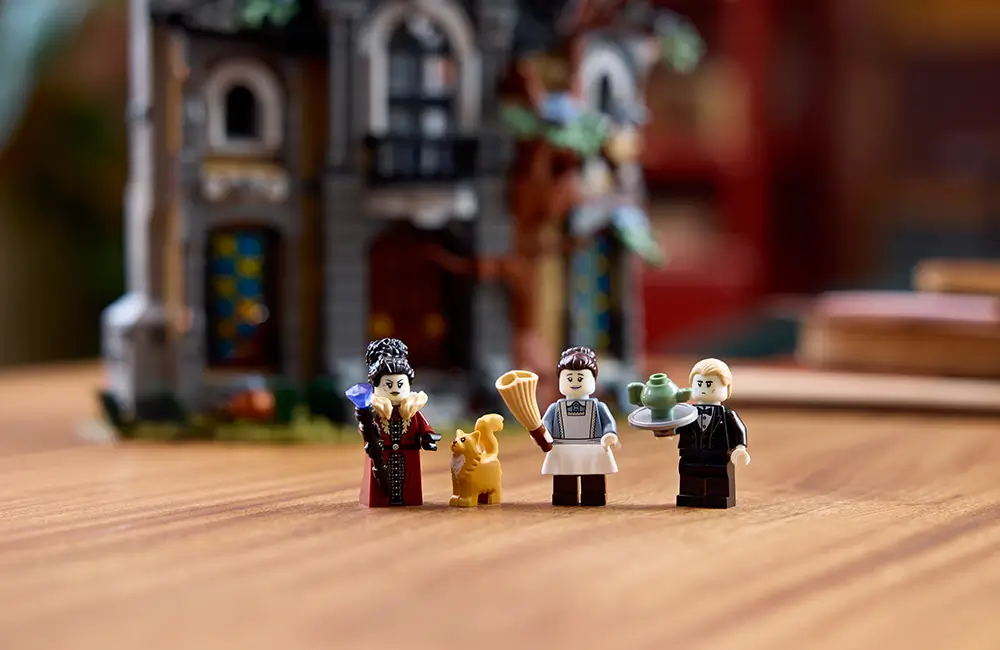 LEGO Display set